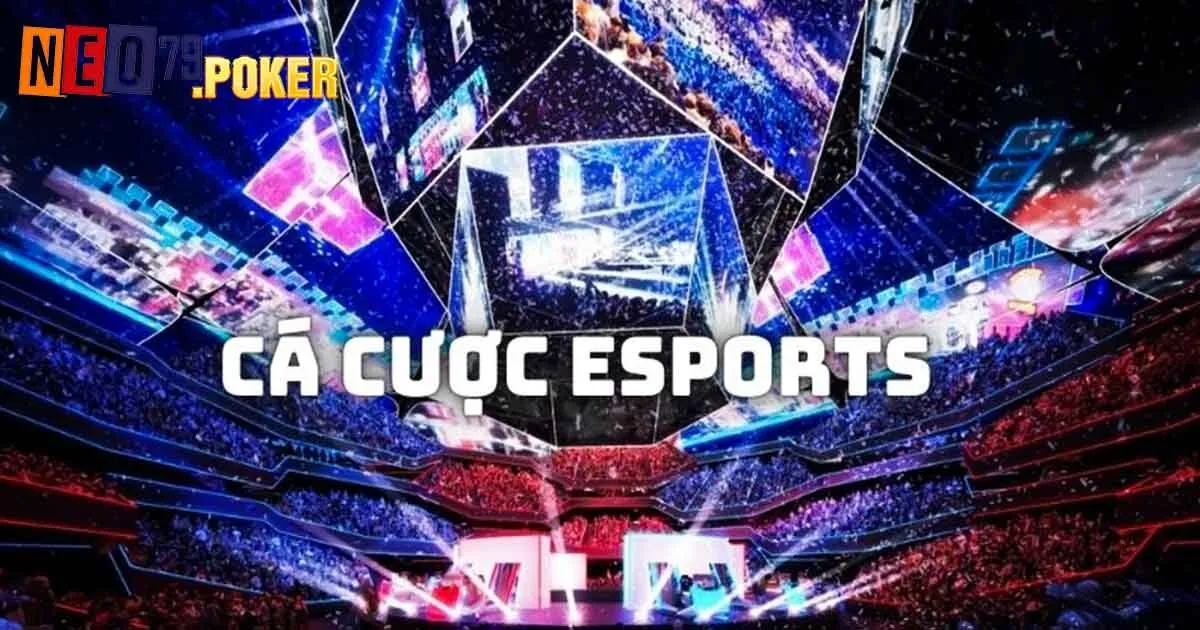 Lựa chọn cá cược Esports Neo79